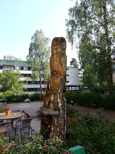 Old Wood Owl 
