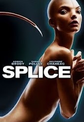 Splice