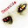Dementia Download on Windows
