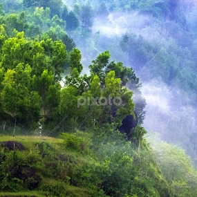 After the Rain | Pranji Hill, Kebumen, Indonesia by Wiwid Widya Apriyadi - Landscapes Forests
