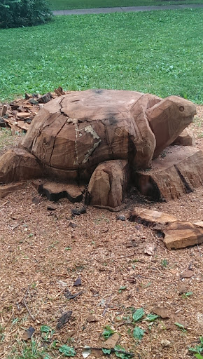 Carved Turtle Statue