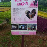 大溪花海農場