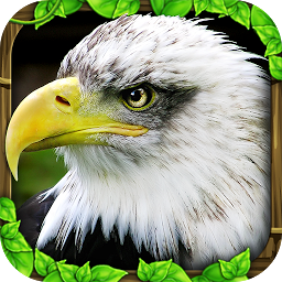 Eagle Simulator v1.0