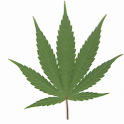 Weed App