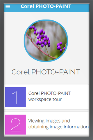 Learn Corel Paint Tutorial