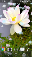 Lotus Live Wallpaper APK Снимки экрана #1