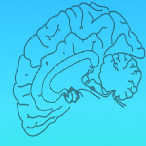 ReflexTester.apk 1.0