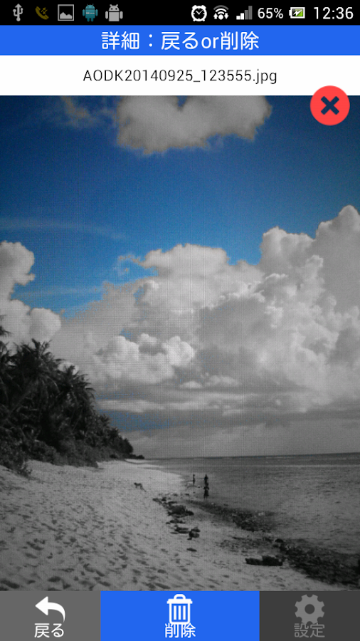   青だけカメラ- スクリーンショット 