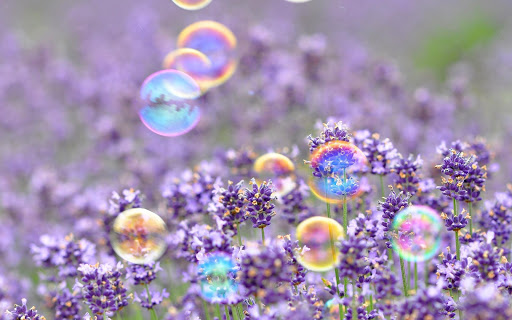 Bubble Wallpaper HD