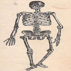 Facts : Human Body.apk 1.2