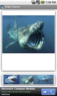 How to download Killer Sharks lastet apk for bluestacks