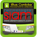 iBus Cordoba logo