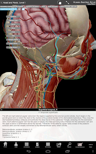 Human Anatomy Atlas SP