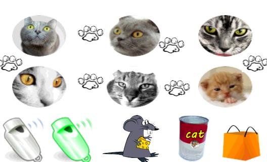 call Cat Screen 2