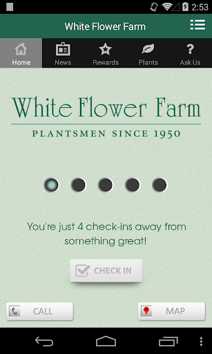 White Flower Farm