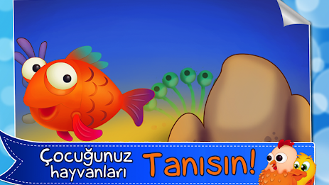 effort to find the most beautiful animals poster 13