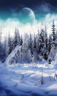 How to install Winter wallpaper 1.0 apk for android