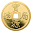 Coin Divination Download on Windows