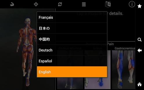 Muscle Trigger Point Anatomy - screenshot thumbnail