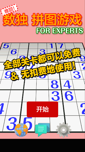 难题 数独 拼图游戏 FOR EXPERTS