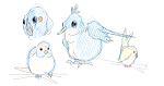 chubby birds