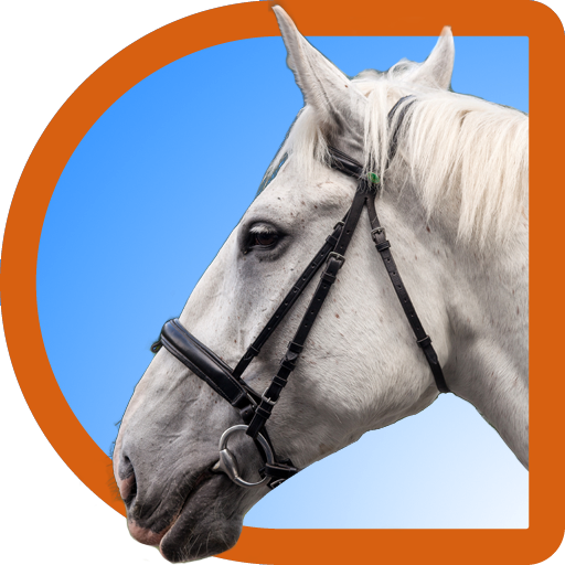 Horse Puzzle For Kids LOGO-APP點子