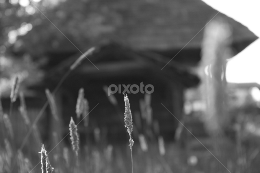 Lost in the countryside by Madalin Stoean - Black & White Landscapes