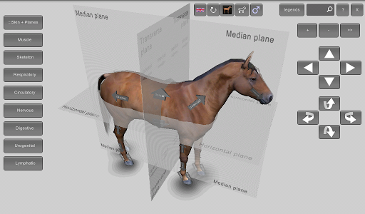 【免費教育App】3D Horse Anatomy Software-APP點子