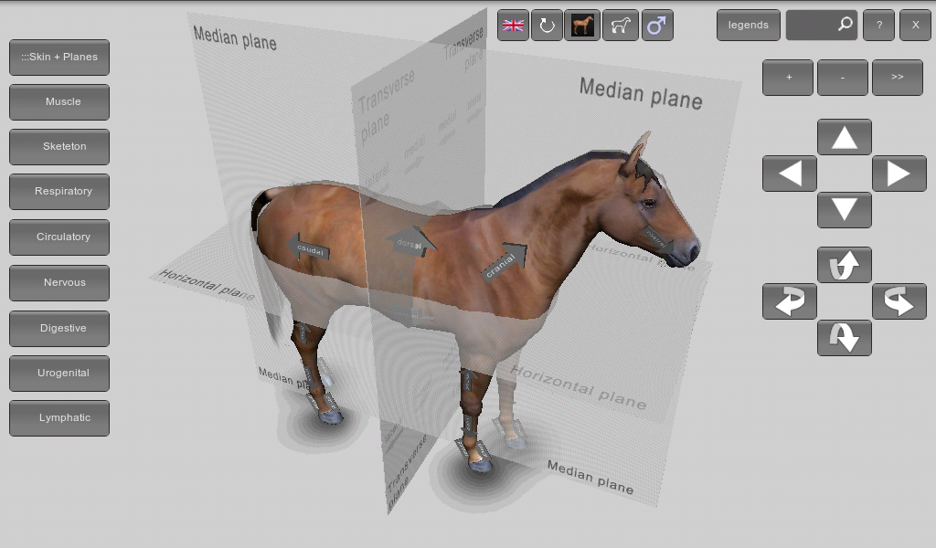 3D Horse Anatomy Software Free Download