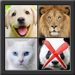 Cover Image of ダウンロード 4 Pics 1 Different 1.25 APK