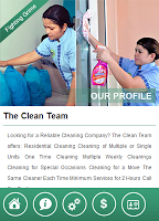 The Clean Team APK 螢幕截圖圖片 #3