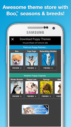 免費下載天氣APP|Weather Puppy app開箱文|APP開箱王