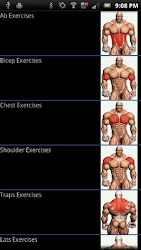 Complete Gym Exercise Guide