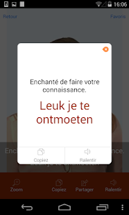 Dictionnaire Video Hollandais Screen 3
