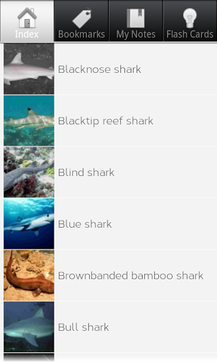 免費下載教育APP|Shark Species: Types of Shark app開箱文|APP開箱王