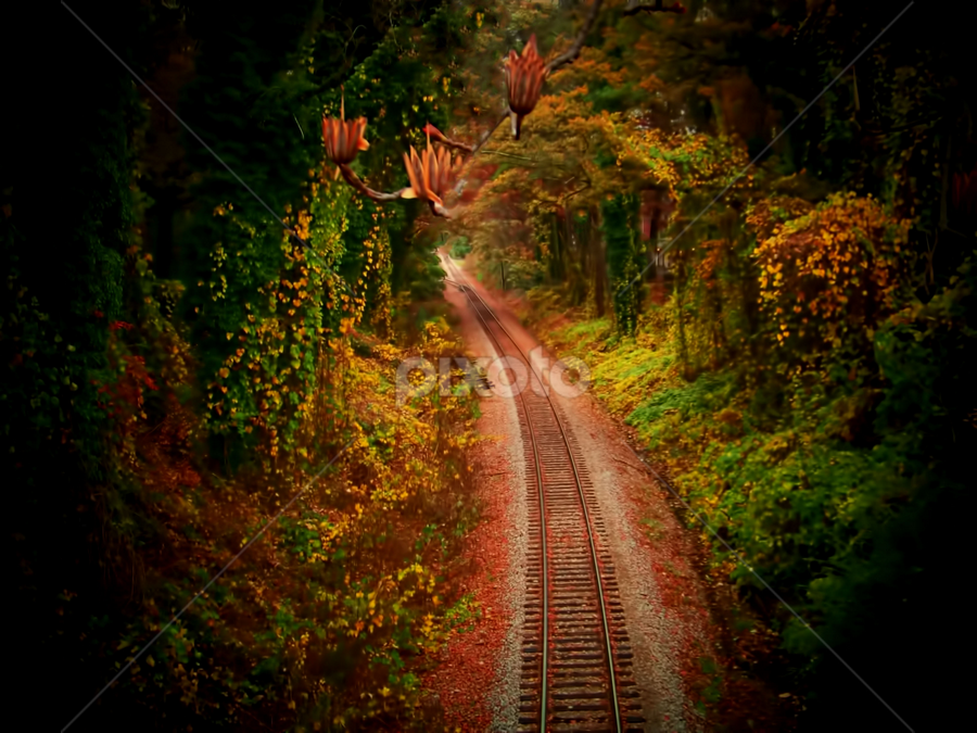 Just Up Ahead by Michael Grado - Transportation Railway Tracks
