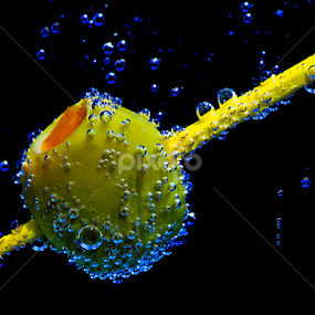by Nancie Rowan - Abstract Macro