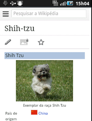 【免費娛樂App】Cachorros Shih Tzu-APP點子