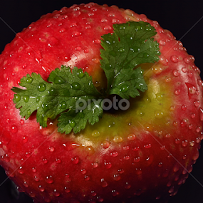 An apple, spice growing through it by Nizam Akanjee - Food & Drink Fruits & Vegetables