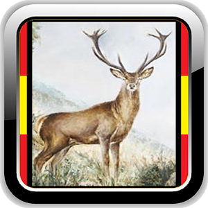 Caza Reclamo - APP 2.0