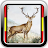 Hunting - Calls - Social Network - Moon Calendar APK - Download for Windows