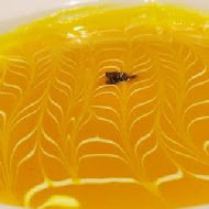 Mosun 墨賞新鐵板料理