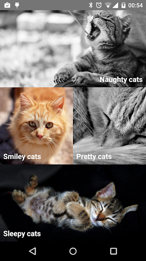 Pretty Cats