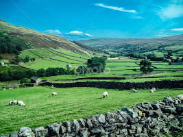 The Quiet Life: An Autumn Day in England by Del Candler - Landscapes Prairies, Meadows & Fields
