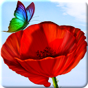 Flowers and Butterflies Summer mobile app icon