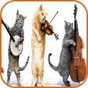 Animal Sounds icon