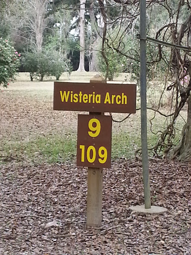 Wisteria Arch