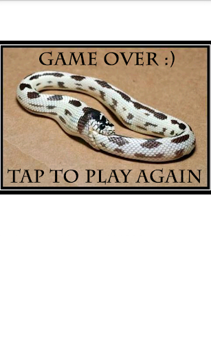 【免費街機App】Best Classic Snake Game-APP點子