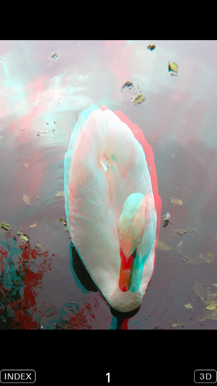 3D Popup Swan Screen 3