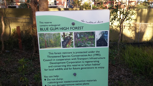 Hornsby Blue Gum Forest